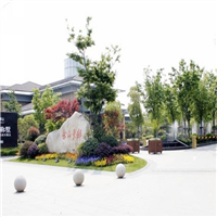 上海市松江区佘山东郡别墅地下室庭院污水提升泵安装调试完成