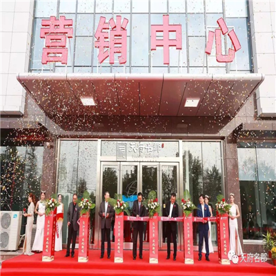 淄博天府名郡别墅地下室污水提升泵