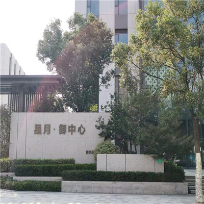 上海浦东星月·御中心地下室污水提升器